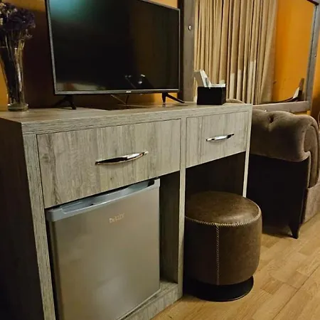 Hotel Artist