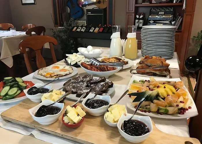 Artist 酒店 地拉那